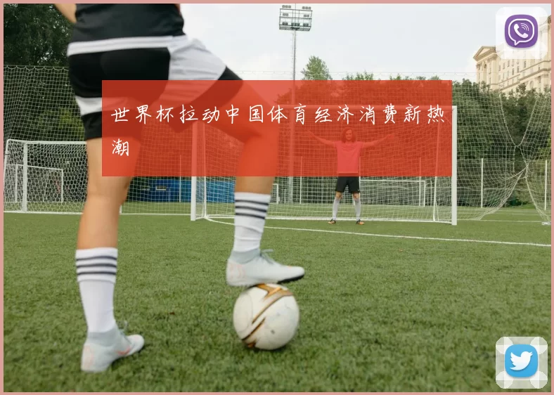 世界杯拉动中国体育经济消费新热潮