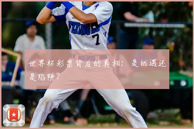 世界杯彩票背后的真相:是机遇还是陷阱?