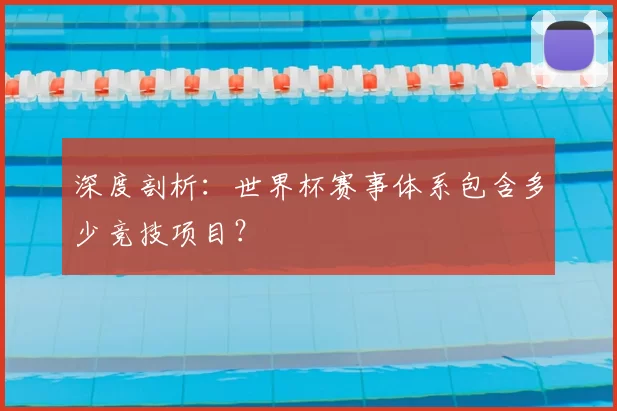 深度剖析:世界杯赛事体系包含多少竞技项目?