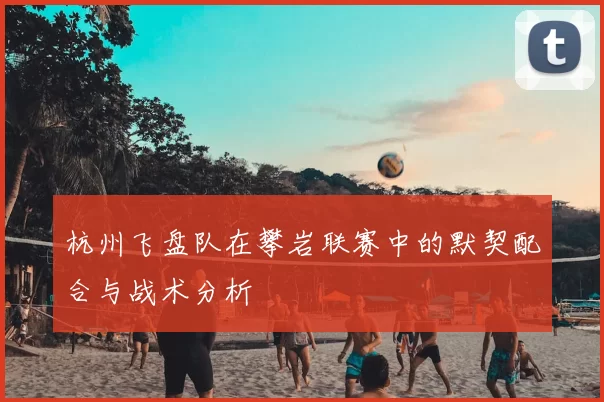 杭州飞盘队在攀岩联赛中的默契配合与战术分析
