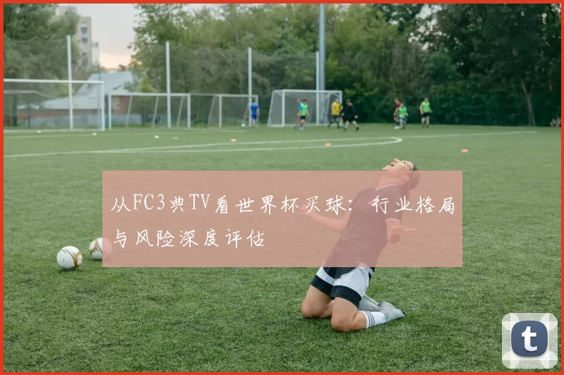 从FC3典TV看世界杯买球:行业格局与风险深度评估