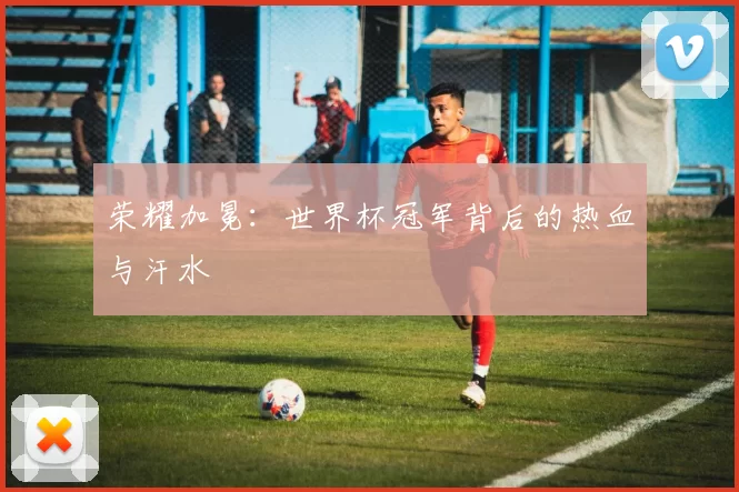 荣耀加冕:世界杯冠军背后的热血与汗水