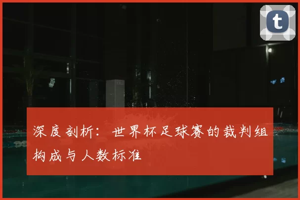 深度剖析:世界杯足球赛的裁判组构成与人数标准